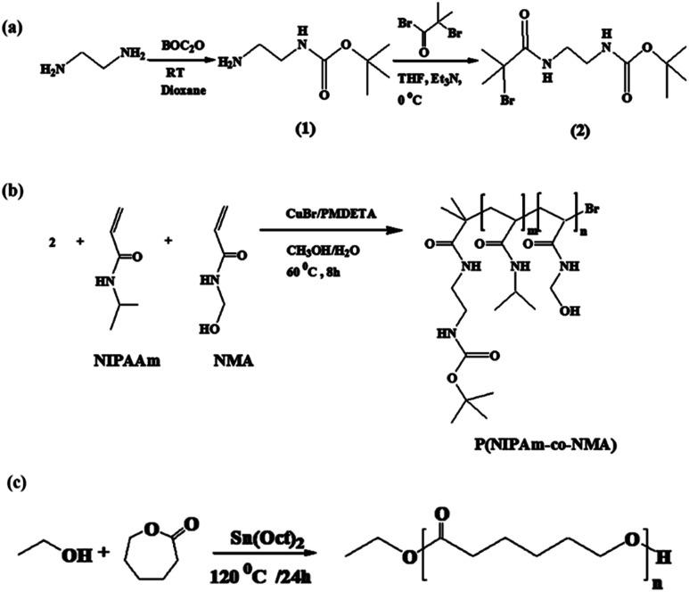 https://cdn.ncbi.nlm.nih.gov/pmc/blobs/b594/9076064/013ea17257d5/c9ra06058h-s2.jpg