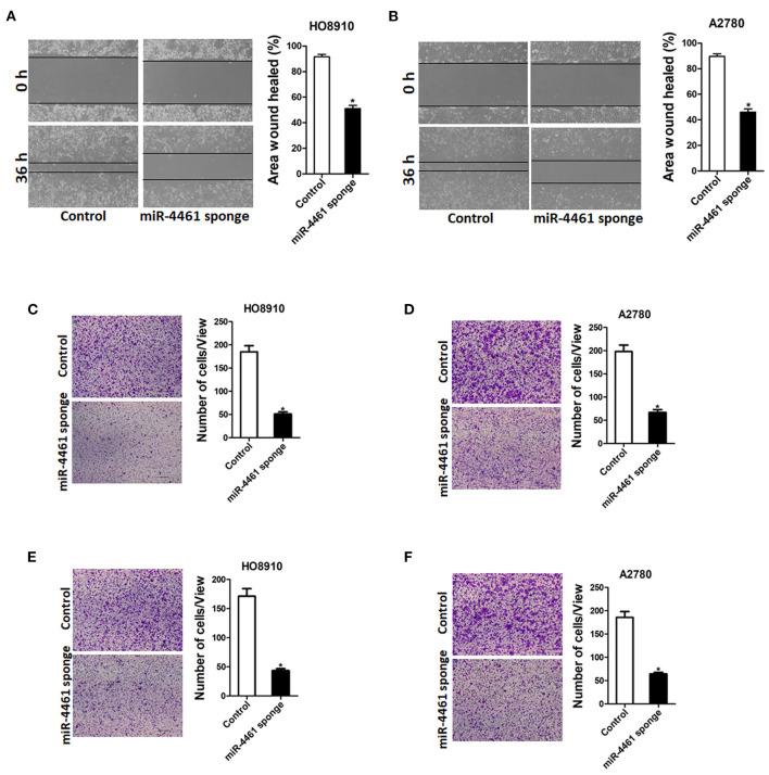 https://cdn.ncbi.nlm.nih.gov/pmc/blobs/b596/7985457/55cf252c5d43/fonc-11-614035-g0002.jpg