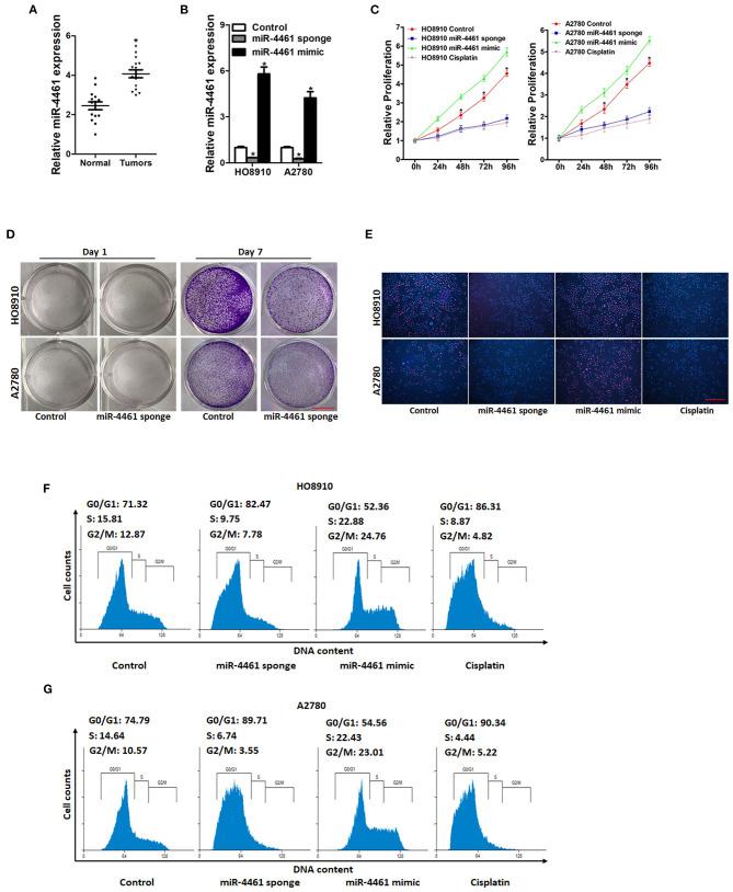 https://cdn.ncbi.nlm.nih.gov/pmc/blobs/b596/7985457/84572f035322/fonc-11-614035-g0001.jpg
