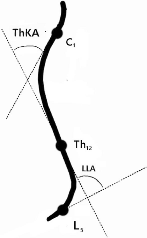 https://cdn.ncbi.nlm.nih.gov/pmc/blobs/b597/11133473/5073d6ffbdaa/41598_2024_62929_Fig1_HTML.jpg
