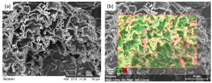 https://cdn.ncbi.nlm.nih.gov/pmc/blobs/b598/10742759/e7214a04b45f/gels-09-00982-g003a.jpg