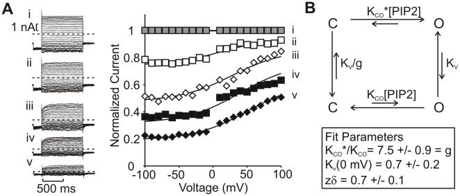 https://cdn.ncbi.nlm.nih.gov/pmc/blobs/b59c/2826373/6db20f88032b/pbio.1000315.g003.jpg