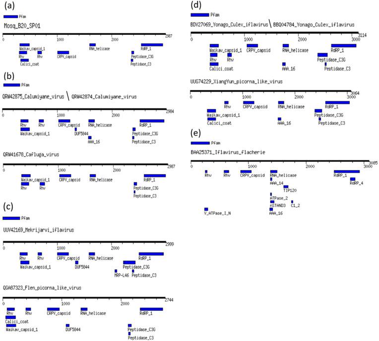 https://cdn.ncbi.nlm.nih.gov/pmc/blobs/b59d/11434248/595c71d1fb59/microorganisms-12-01749-g002.jpg