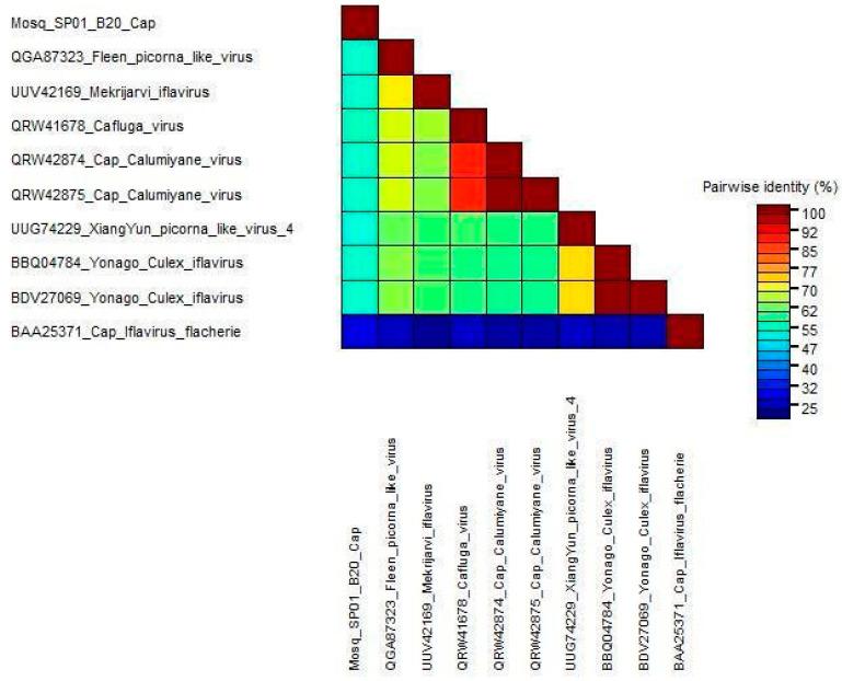 https://cdn.ncbi.nlm.nih.gov/pmc/blobs/b59d/11434248/b8fce7a0fb9c/microorganisms-12-01749-g005.jpg