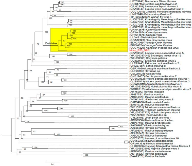 https://cdn.ncbi.nlm.nih.gov/pmc/blobs/b59d/11434248/e3ef92229d3e/microorganisms-12-01749-g004.jpg