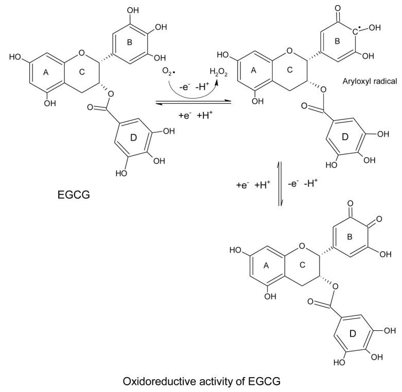 https://cdn.ncbi.nlm.nih.gov/pmc/blobs/b59e/10376590/b92db1151a67/antioxidants-12-01320-g002.jpg