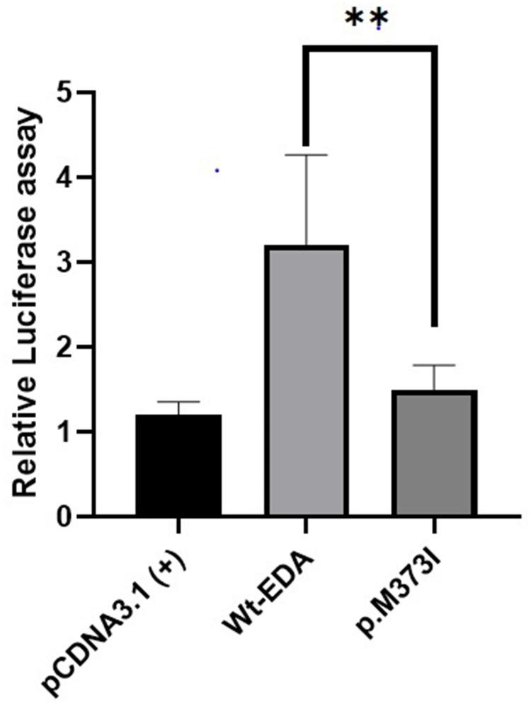 https://cdn.ncbi.nlm.nih.gov/pmc/blobs/b5a0/11215660/9e02608b17dd/CCID-17-1505-g0003.jpg