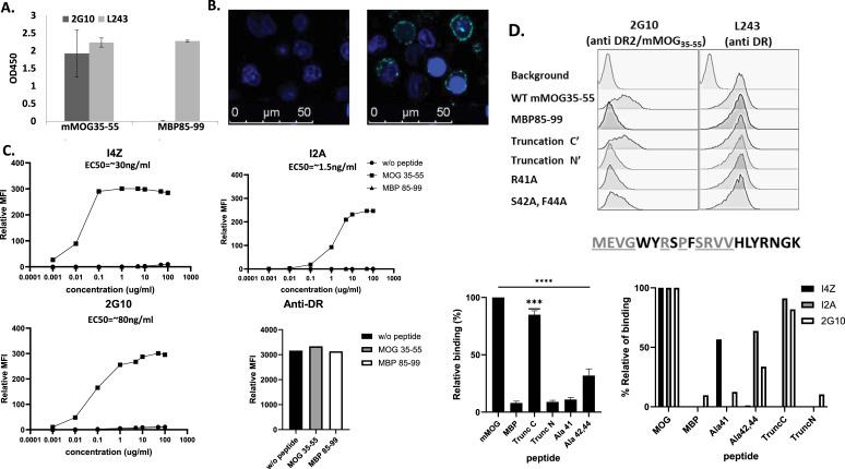 https://cdn.ncbi.nlm.nih.gov/pmc/blobs/b5a1/11536346/4e61525c3f3b/LSA-2024-02996_Fig1.jpg
