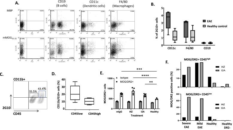 https://cdn.ncbi.nlm.nih.gov/pmc/blobs/b5a1/11536346/70679deb5190/LSA-2024-02996_Fig2.jpg