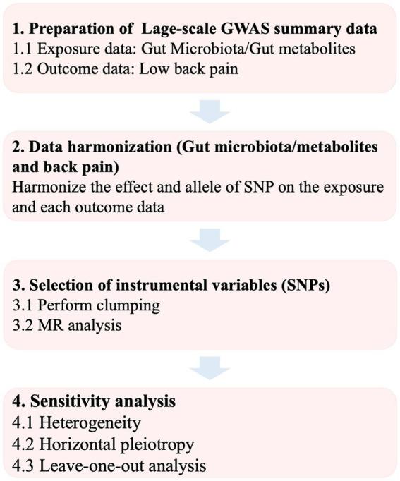 https://cdn.ncbi.nlm.nih.gov/pmc/blobs/b5a2/10140346/1c5cea9b8f60/fmicb-14-1157451-g001.jpg