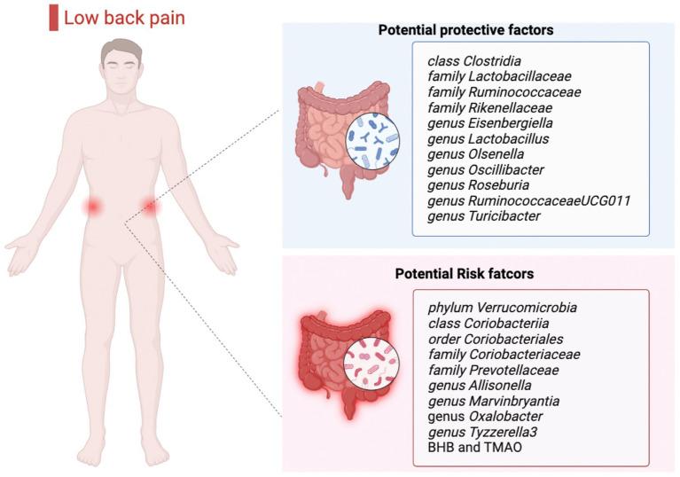 https://cdn.ncbi.nlm.nih.gov/pmc/blobs/b5a2/10140346/21cf86530090/fmicb-14-1157451-g004.jpg