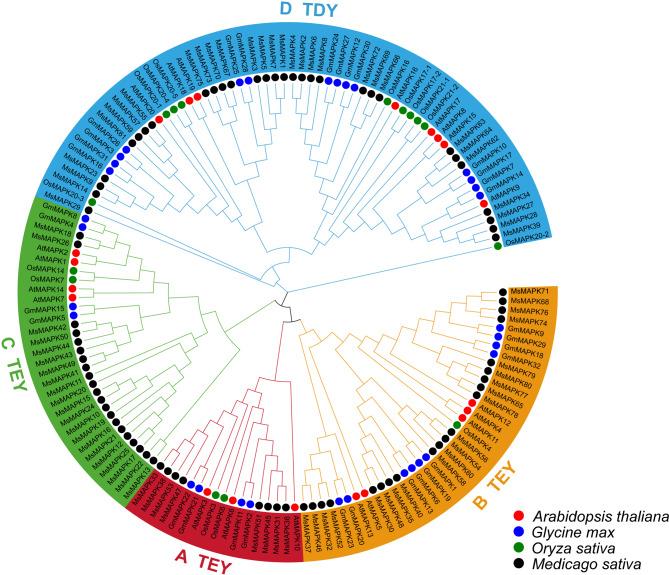 https://cdn.ncbi.nlm.nih.gov/pmc/blobs/b5a2/11344418/4916b5ce0f55/12870_2024_5524_Fig2_HTML.jpg