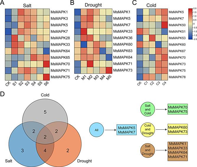 https://cdn.ncbi.nlm.nih.gov/pmc/blobs/b5a2/11344418/7264ac33044e/12870_2024_5524_Fig8_HTML.jpg