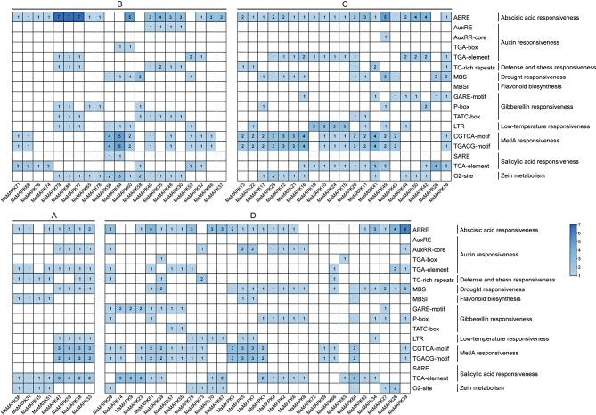 https://cdn.ncbi.nlm.nih.gov/pmc/blobs/b5a2/11344418/989d3592c9aa/12870_2024_5524_Fig6_HTML.jpg