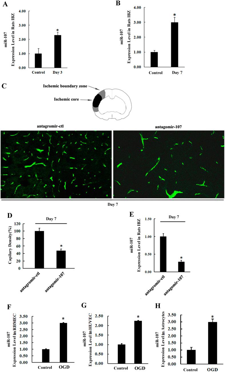 https://cdn.ncbi.nlm.nih.gov/pmc/blobs/b5a3/4543985/3ed0e18a384a/srep13316-f1.jpg