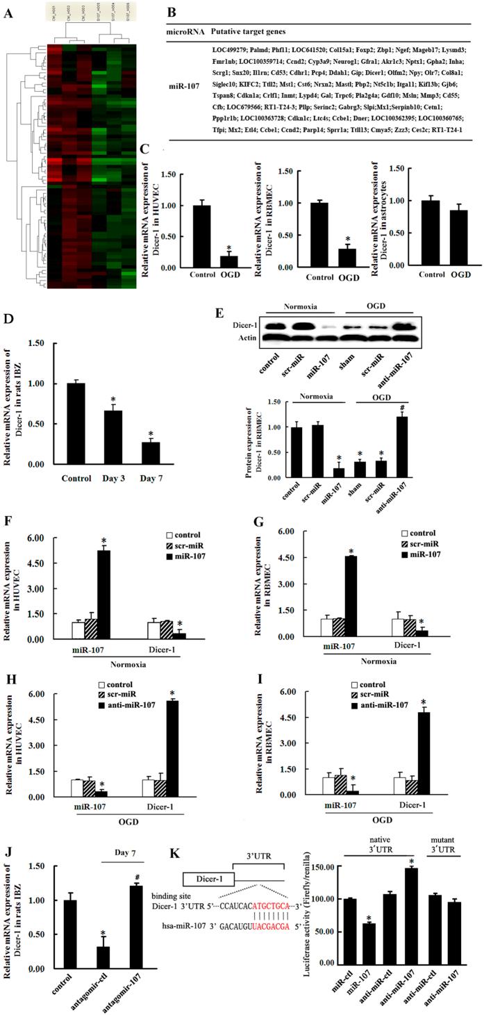 https://cdn.ncbi.nlm.nih.gov/pmc/blobs/b5a3/4543985/3f37aff01232/srep13316-f4.jpg