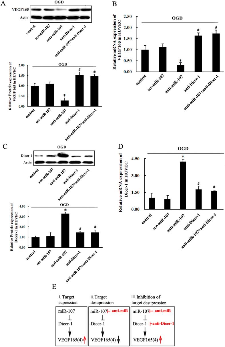 https://cdn.ncbi.nlm.nih.gov/pmc/blobs/b5a3/4543985/74133661b446/srep13316-f5.jpg
