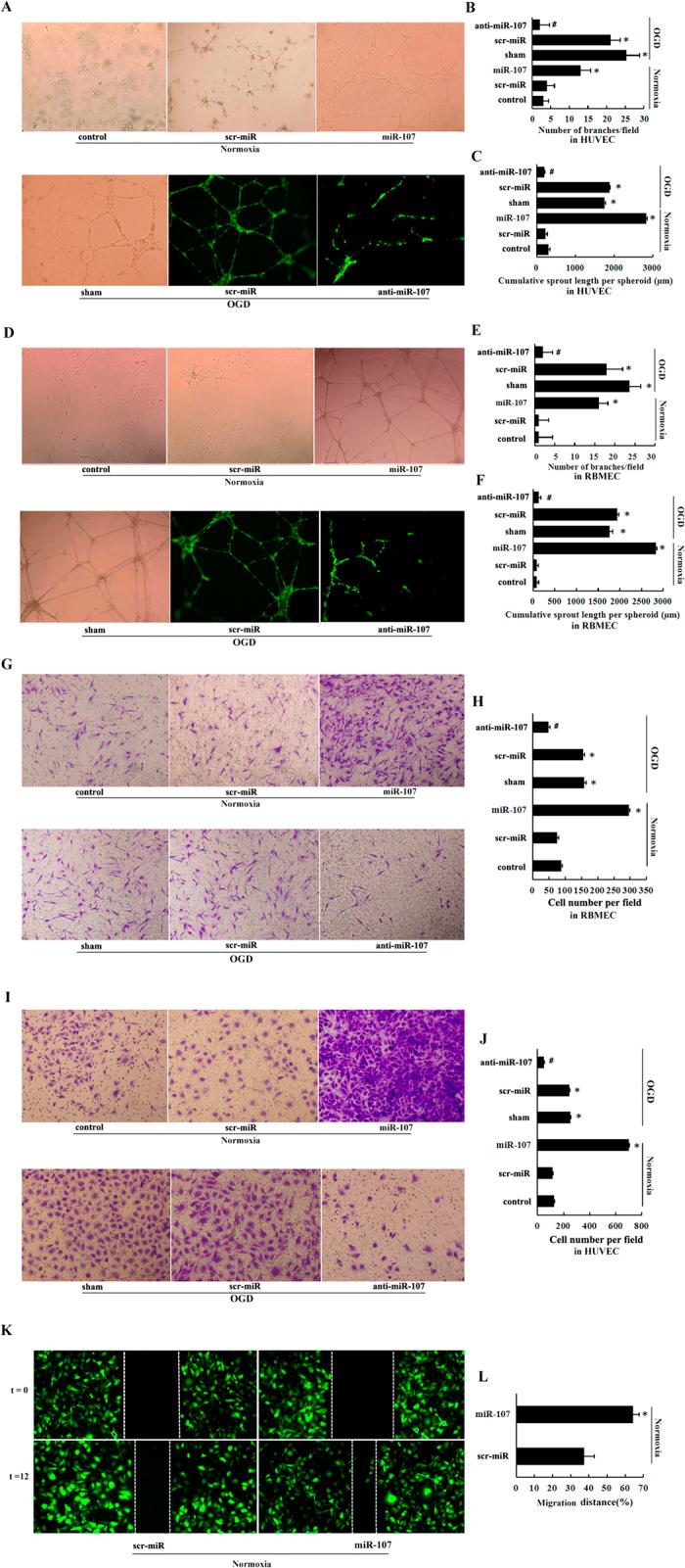 https://cdn.ncbi.nlm.nih.gov/pmc/blobs/b5a3/4543985/ab0bb9e4507a/srep13316-f2.jpg