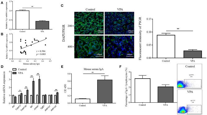 https://cdn.ncbi.nlm.nih.gov/pmc/blobs/b5a3/8175640/32a31cf27009/fpsyt-12-669193-g0005.jpg