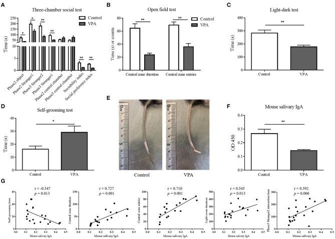 https://cdn.ncbi.nlm.nih.gov/pmc/blobs/b5a3/8175640/da6d62a125cc/fpsyt-12-669193-g0004.jpg
