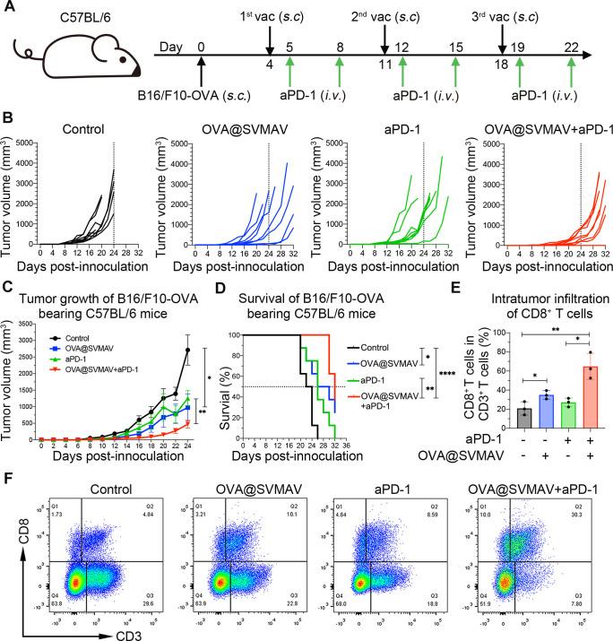 https://cdn.ncbi.nlm.nih.gov/pmc/blobs/b5a3/8404452/8055a5a19571/jitc-2021-003132f06.jpg