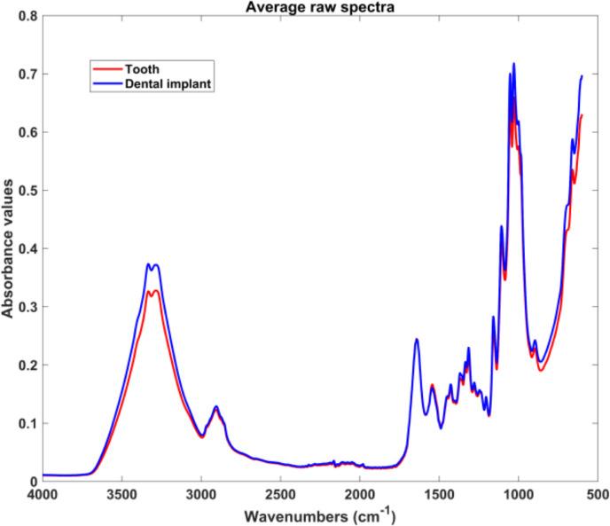 https://cdn.ncbi.nlm.nih.gov/pmc/blobs/b5a4/12092536/324456479bec/784_2025_6382_Fig3_HTML.jpg