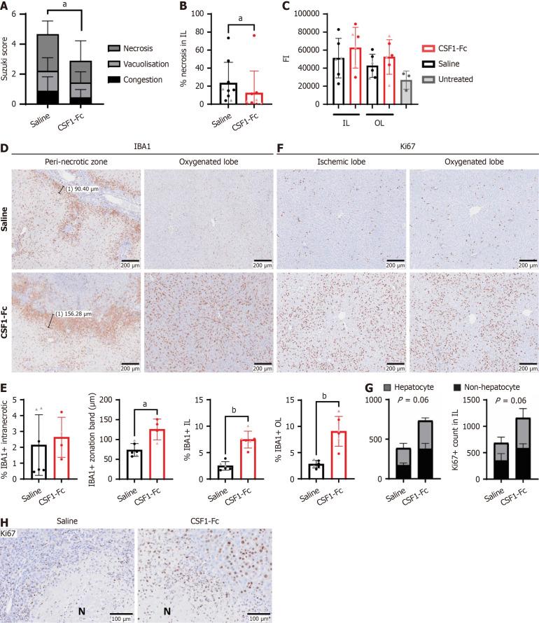 https://cdn.ncbi.nlm.nih.gov/pmc/blobs/b5a4/12207545/c913f7e81d20/wjg-31-24-108234-g003.jpg