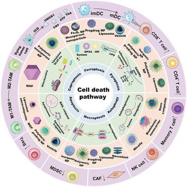 https://cdn.ncbi.nlm.nih.gov/pmc/blobs/b5a5/10797449/47eb40285144/ADVS-11-2306580-g010.jpg