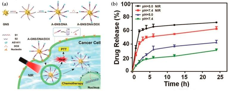 https://cdn.ncbi.nlm.nih.gov/pmc/blobs/b5a9/7504550/6c621e6e5fb3/ijms-21-06380-g010.jpg