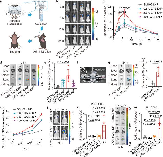 https://cdn.ncbi.nlm.nih.gov/pmc/blobs/b5aa/11531489/337c65b6a0a8/41467_2024_53914_Fig2_HTML.jpg
