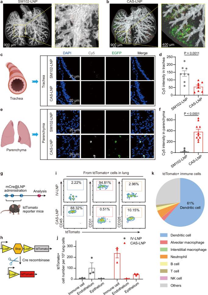https://cdn.ncbi.nlm.nih.gov/pmc/blobs/b5aa/11531489/426c9ec62a90/41467_2024_53914_Fig5_HTML.jpg
