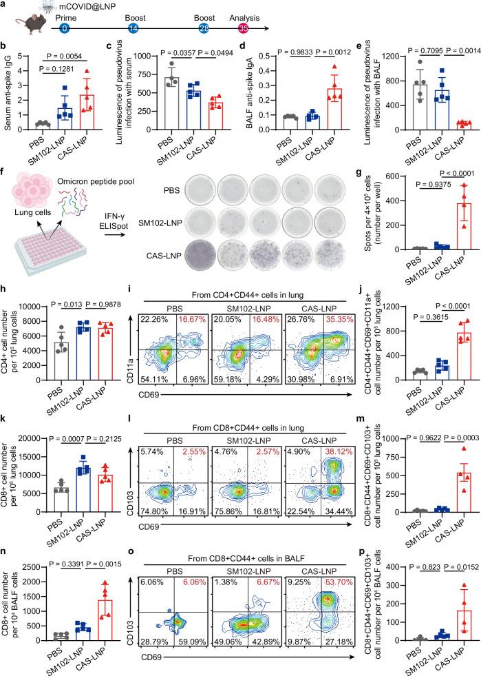 https://cdn.ncbi.nlm.nih.gov/pmc/blobs/b5aa/11531489/5106e376f263/41467_2024_53914_Fig6_HTML.jpg