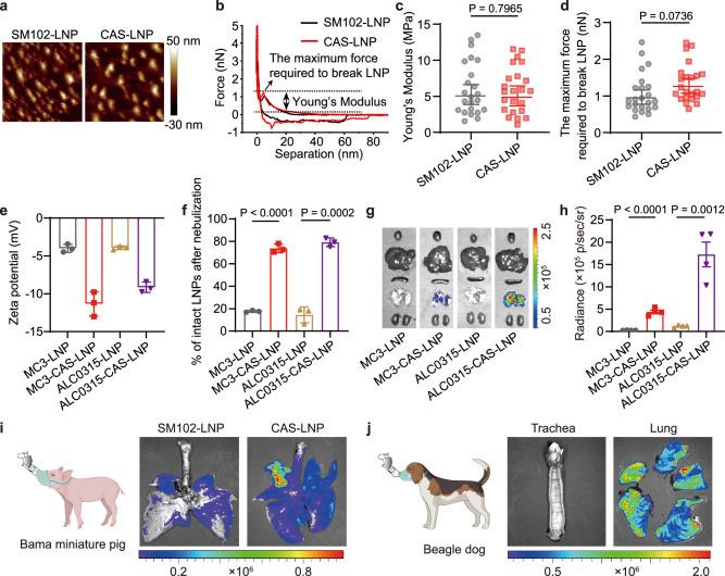 https://cdn.ncbi.nlm.nih.gov/pmc/blobs/b5aa/11531489/5e8aa90c9df9/41467_2024_53914_Fig4_HTML.jpg