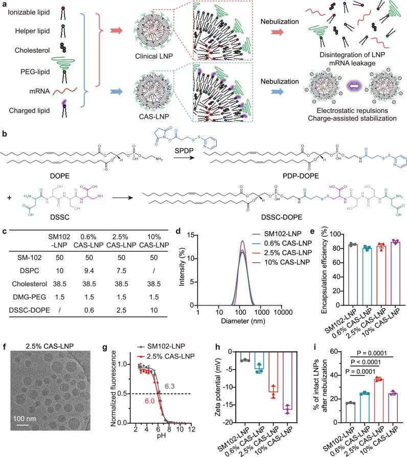 https://cdn.ncbi.nlm.nih.gov/pmc/blobs/b5aa/11531489/794f807d7e84/41467_2024_53914_Fig1_HTML.jpg