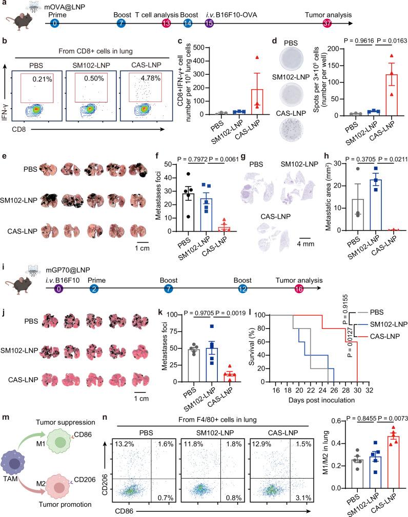 https://cdn.ncbi.nlm.nih.gov/pmc/blobs/b5aa/11531489/dd865663e2bb/41467_2024_53914_Fig7_HTML.jpg