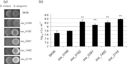 https://cdn.ncbi.nlm.nih.gov/pmc/blobs/b5af/3069532/e5aef2aa1d3a/13fig2.jpg