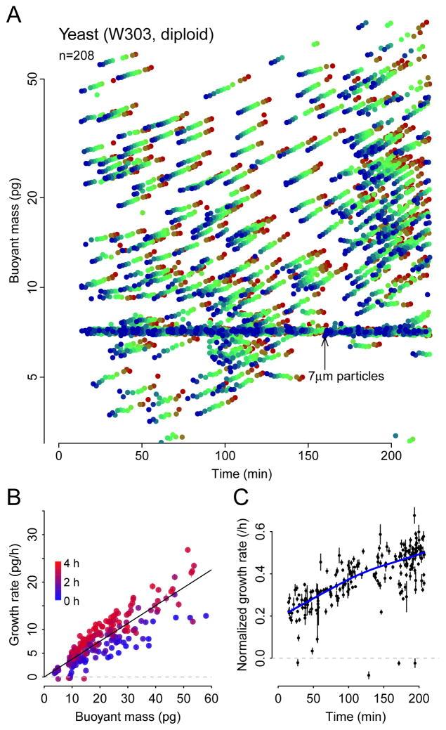 https://cdn.ncbi.nlm.nih.gov/pmc/blobs/b5af/5064867/05e9a1a885f7/nihms809992f5.jpg