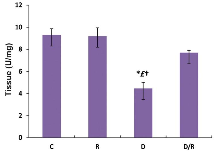 https://cdn.ncbi.nlm.nih.gov/pmc/blobs/b5b0/5011324/5c619139bf52/Cell-J-18-362-g06.jpg