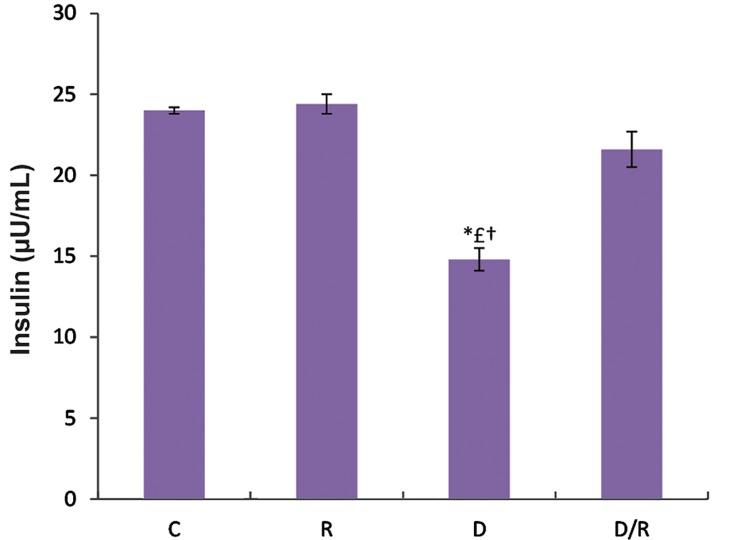 https://cdn.ncbi.nlm.nih.gov/pmc/blobs/b5b0/5011324/96f37d83c9f2/Cell-J-18-362-g02.jpg