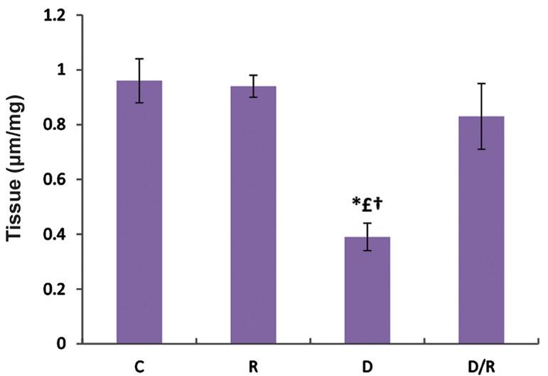 https://cdn.ncbi.nlm.nih.gov/pmc/blobs/b5b0/5011324/e396476b01ac/Cell-J-18-362-g08.jpg