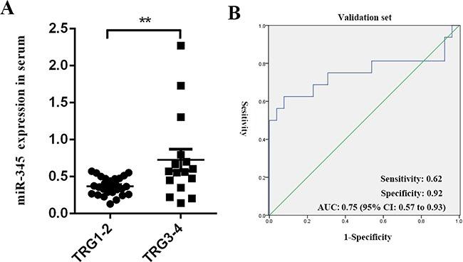 https://cdn.ncbi.nlm.nih.gov/pmc/blobs/b5b0/5325438/6bbcb9e56009/oncotarget-07-64233-g005.jpg