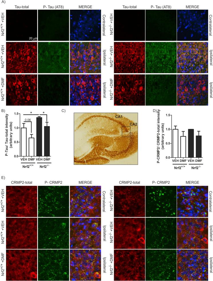https://cdn.ncbi.nlm.nih.gov/pmc/blobs/b5b0/5681345/4ee85c78443e/gr4.jpg