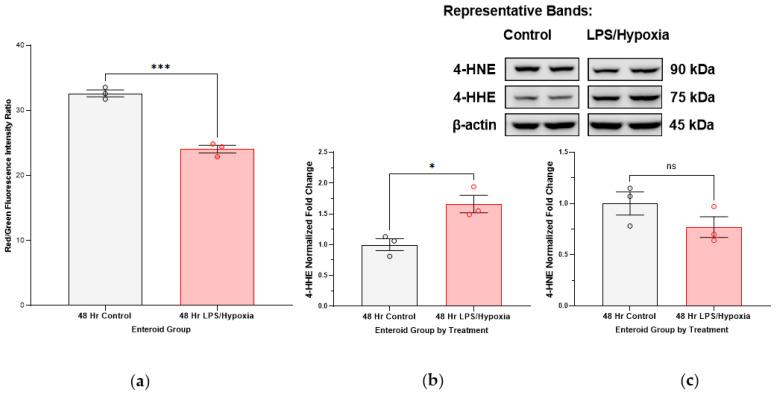 https://cdn.ncbi.nlm.nih.gov/pmc/blobs/b5b1/10376622/ad42b93d962e/antioxidants-12-01385-g004.jpg