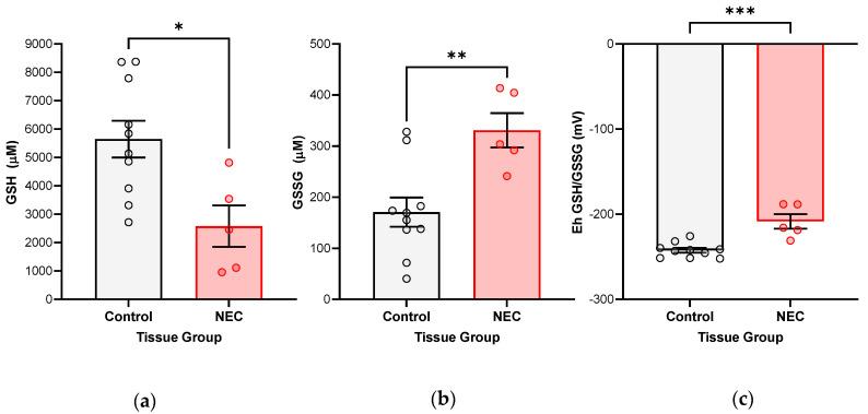 https://cdn.ncbi.nlm.nih.gov/pmc/blobs/b5b1/10376622/cdc2728a8b07/antioxidants-12-01385-g001.jpg