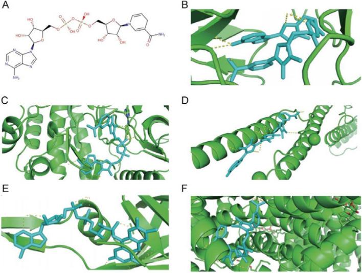 https://cdn.ncbi.nlm.nih.gov/pmc/blobs/b5b4/11036634/254752191e7c/12920_2024_1872_Fig7_HTML.jpg