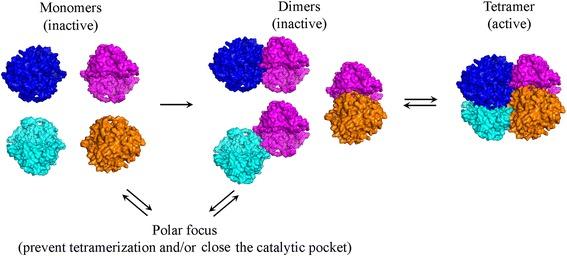https://cdn.ncbi.nlm.nih.gov/pmc/blobs/b5b4/4323232/d85d0256de93/12866_2015_346_Fig9_HTML.jpg