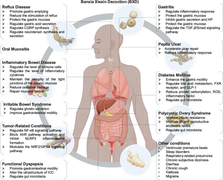 https://cdn.ncbi.nlm.nih.gov/pmc/blobs/b5b5/11921579/08ff4dfceb39/13020_2025_1087_Fig9_HTML.jpg