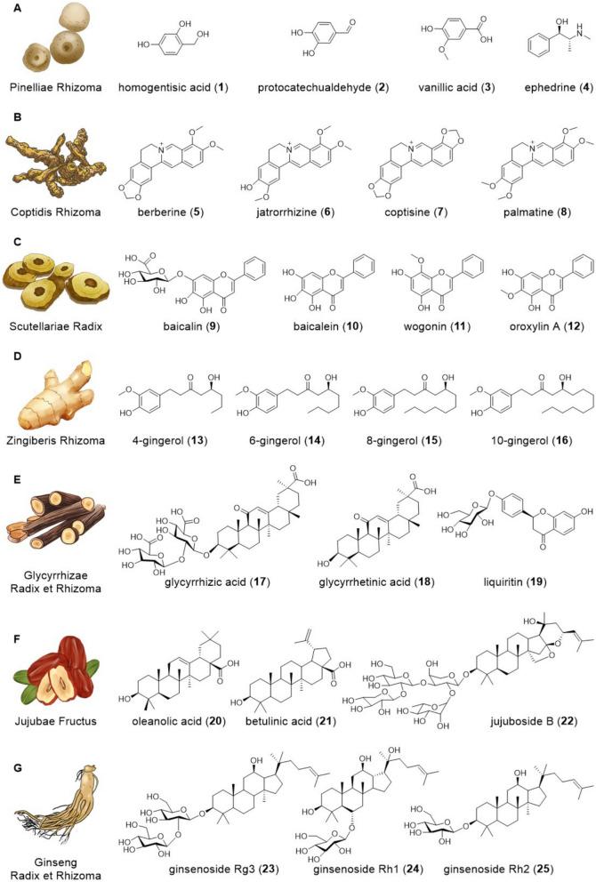 https://cdn.ncbi.nlm.nih.gov/pmc/blobs/b5b5/11921579/edae71827301/13020_2025_1087_Fig1_HTML.jpg