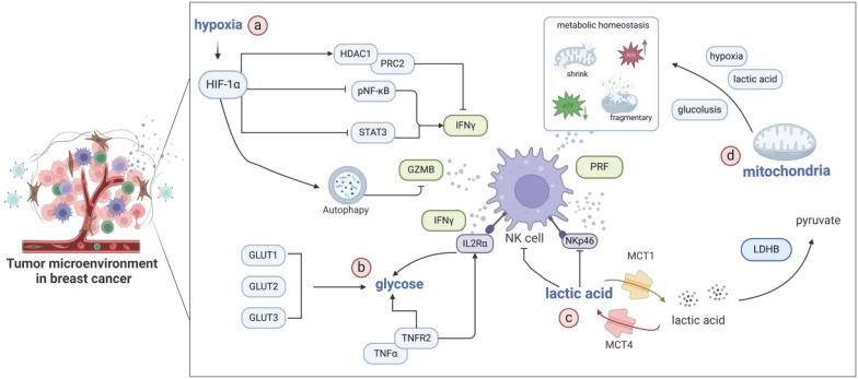 https://cdn.ncbi.nlm.nih.gov/pmc/blobs/b5b5/12035885/0d9a341c316c/ijbsv21p2606g002.jpg