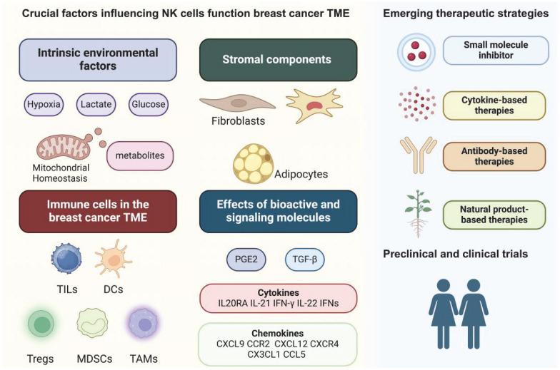https://cdn.ncbi.nlm.nih.gov/pmc/blobs/b5b5/12035885/5013a11231a5/ijbsv21p2606g001.jpg